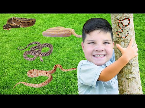 CALEB FOUND a SNAKE on our BUG HUNT!