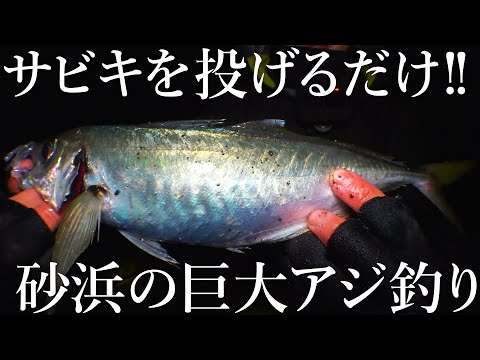 【砂浜で40cm級のアジが釣れる！】サーフからぶっこみサビキを投げると巨大なアジが釣れました