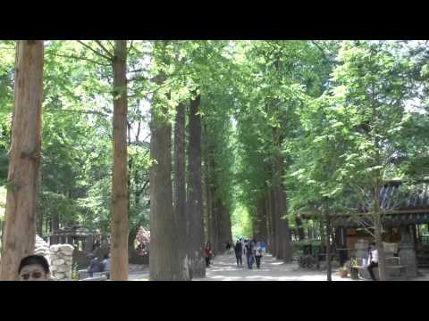 osc Korea Nami Island 南怡岛 15 5 14 (Day 8)