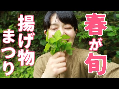 【春の山菜】山と自宅庭で採れた山菜を天ぷらにしてみたら美味しすぎた！