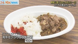 行列店も出店！舞鶴公園で秋の「カレーフェス」