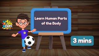 Human Parts of the Body  | Toddler learning | #nurseryrhymes #partsofthebody #kidslearningvideos