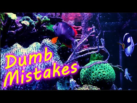 I Made Some Dumb Mistakes, 210g Reef Tank Update 12-16-2020