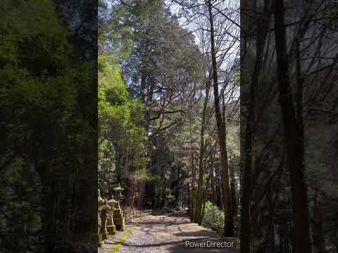 弊立神宮　鳥のさえずり