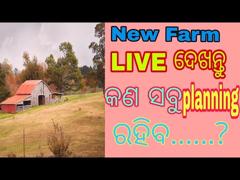 new farming plan Live watch now//nua farm plan dekhantu