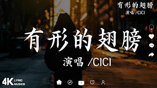 cici_ - 有形的翅膀「我受过伤 所以更渴望美丽的飞翔」【動態歌詞】♪