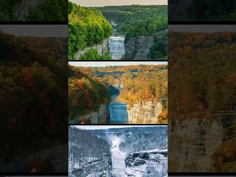 Which #Letchworth Park season is your favorite? #fall #travel #season #ytshort #shorts #short