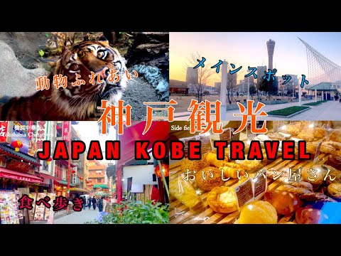 神戸を日帰り観光して来ました/ JAPAN KOBE TRAVEL / animal / food / 中華街