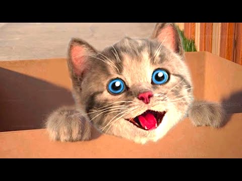 Animation Little Kitten Preschool - Amazing Adventure Cute Cat Best Learning Video for Kids Stories!