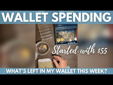 How much money I have left in my wallet + REFILL Time!