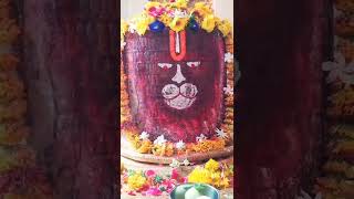 सीहोर वाले महादेव सहस्त्र लिंगेश्वर महादेव मंदिर सीहोर