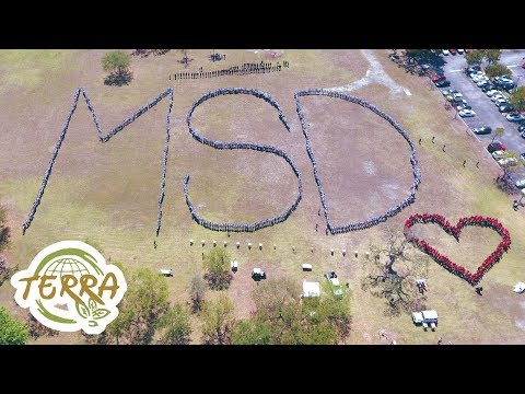 MSD REMEMBRANCE - TERRA