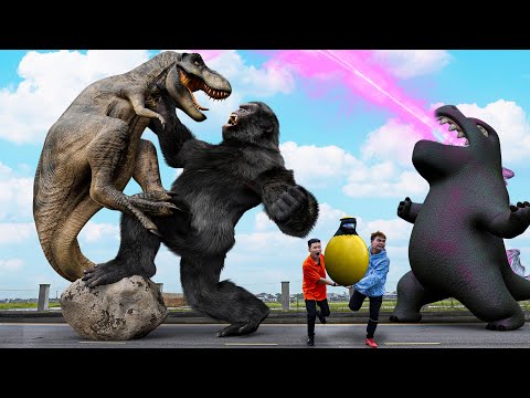 Rescue Kong VS T-Rex | The New Empire | Kingdom of the Planet of the Apes VS Jurassic Park #2024