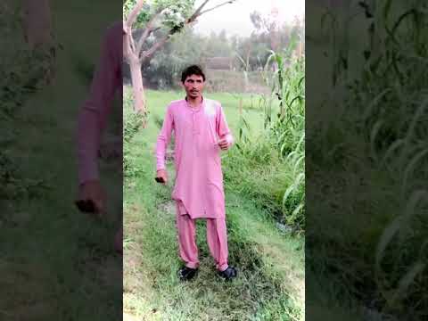 Maza bryani viral #trendingshorts #viraltiktok #viralclips#funnyvideos