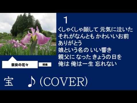 宝　和田青児　♪（COVER