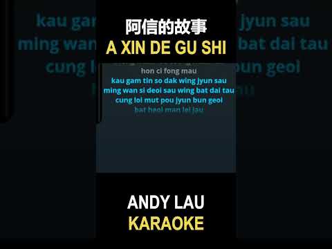 Andy Lau - A Xin De Gu Shi 阿信的故事 [KARAOKE]