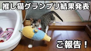 推し猫グランプリ結果発表＆ご報告！