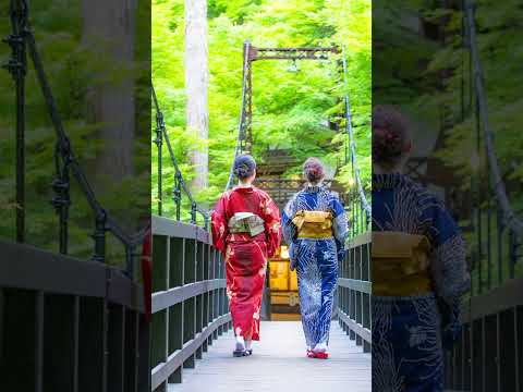 【夏の京の風物詩、川床・納涼床を楽しむ旅】