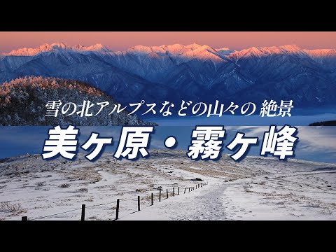 【雪の北アルプス絶景】冬の美しい景色が広がる美ヶ原・霧ヶ峰からの雪の北アルプスなどの山々の絶景