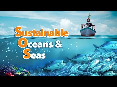 Sustainable Oceans & Seas - Full Video