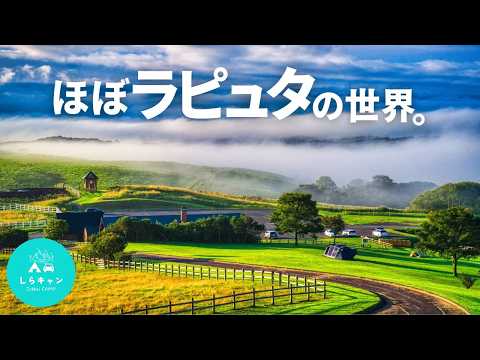 【神回】ここ日本！？地平線が見える絶景穴場キャンプ場／北海道キャンプ旅、多和平キャンプ場【ウイングフォート】