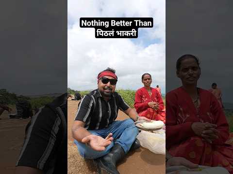 पिठलं भाकरी in सह्याद्री Kaas Pathar ♥️ #shorts #kaaspathar #kaasplateau #valleyofflowers