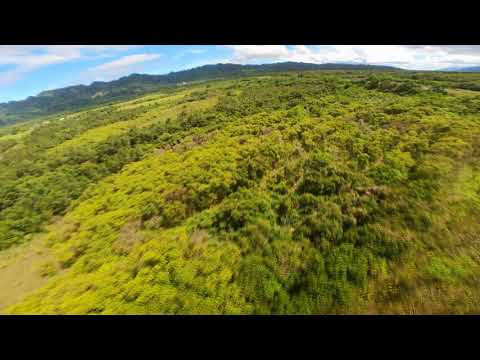 2021 8 20花蓮大農大富平地森林園區穿越飛行紀錄音樂 4K60P 隱形的翅膀