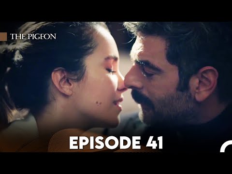 The Pigeon Episode 41 (FULL HD)