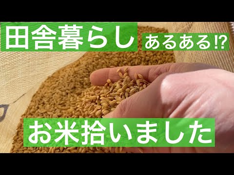 【 田舎暮らし シェフ 】田舎暮らし あるある！？　お米拾いました