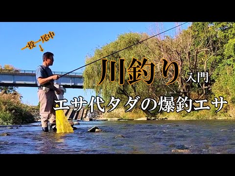 川釣り入門　ウキ釣り／脈釣り／ぶっこみ釣り【手軽に雑魚釣り】