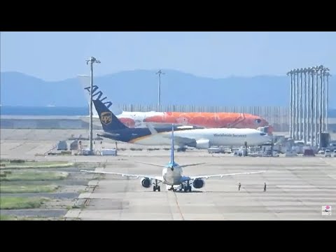 豪快！UPSジャンボ！関西国際空港ライブ配信・2024年１月以来　Kansai International Airport 12/02/2024