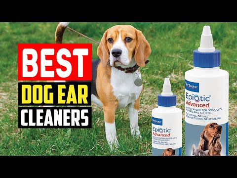 ✅ Top 5 Best Dog Ear Cleaning Solutions of 2023