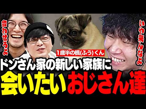 【雑談】ドンピシャ家の新しい家族 楓くんが可愛すぎてどうしても会いたい2人www【三人称/ドンピシャ/ぺちゃんこ/鉄塔/ワンちゃん/切り抜き】