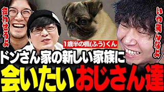 【雑談】ドンピシャ家の新しい家族 楓くんが可愛すぎてどうしても会いたい2人www【三人称/ドンピシャ/ぺちゃんこ/鉄塔/ワンちゃん/切り抜き】