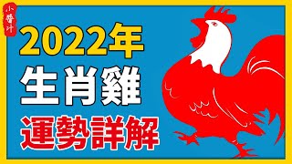 2022年生肖雞運勢詳解！不同生年的屬雞人運勢如何？#生活小醬汁