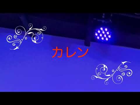 20211204 楽園ライブ『カレン』