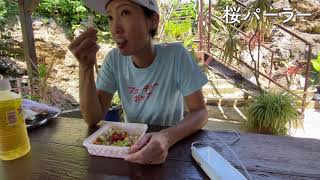 【沖縄ランチ】美ら海水族館近くの「桜パーラー」がおいしい🐬