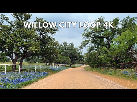 Willow City Loop Scenic Drive | Texas Hill Country Bluebonnets 4K Driving Tour