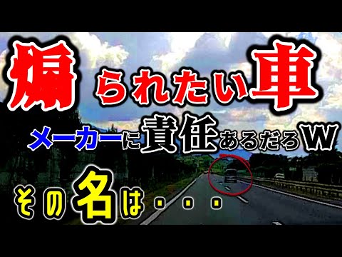 どこの車線を走るかみんな知ってるはずなんだがこの車種は・・・【初心者サンデードライバー必見】