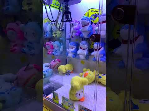 Challenge Day 51 : Catch a doll 1 time/day  #shorts #subscribe #share #viral #thailand #bear #teddy