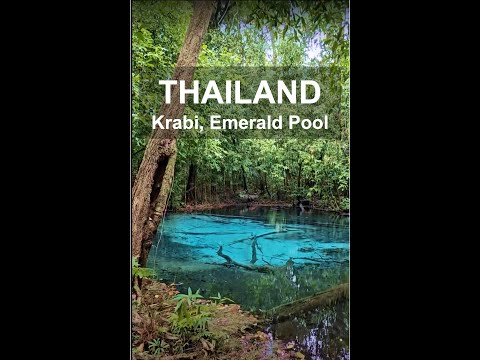 Emerald Pool | Krabi | Thailand