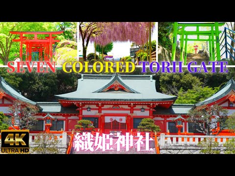 Orihime_Shrine_in_Japan★seven colored torii gate★