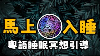 Ep1.廣東話冥想引導丨深度睡眠催眠引導（安全）丨催眠丨深层睡眠丨40分鐘丨緩解失眠丨神采飛揚丨輕柔版丨Cantonese丨 Meditation丨陳老C丨本內容來自廖閱鵬的引導詞丨粵語丨粵語睡眠引導