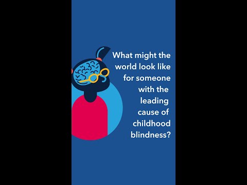 What might the world look like for someone with the leading cause of childhood blindness?