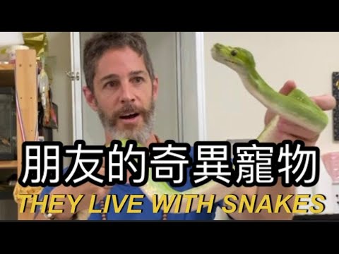 They live with snakes 朋友家的奇異寵物