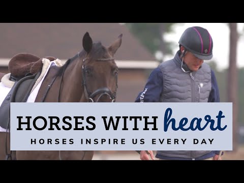 Horses with Heart