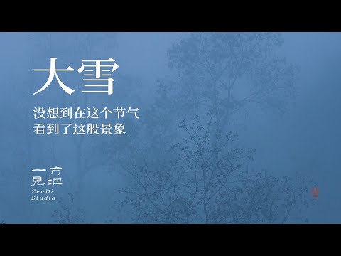 没想在这个节气还可以偶遇到春天里的小野花#大雪 #乡村守护人