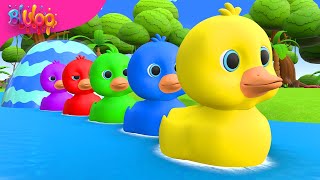 Five Little Ducks | Kids Songs | BluLoo Nursery Rhymes & Kids Songs