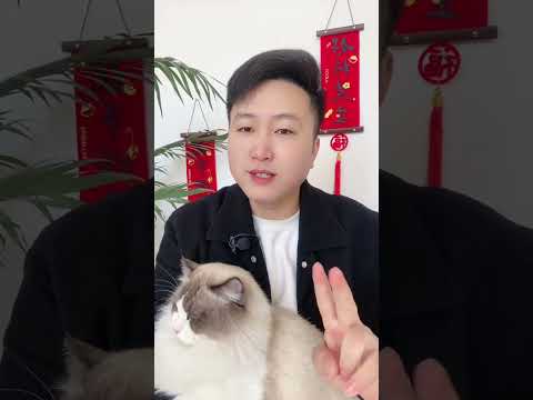 这五种食物堪称，猫咪的心头。 养猫经验分享 科学养宠攻略 宠物零食 宠物火腿肠 养猫人