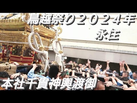 鳥越祭り２０２４年 永住 本社千貫神輿渡御 ６月９日 鳥越神社 東京都台東区鳥越 良かったらチャンネル登録よろしくお願いいたします❤️